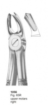  Fig. 65R upper molars right 